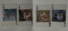 Japan Import Totoro Studio Ghibli Playing Cards — photo 5