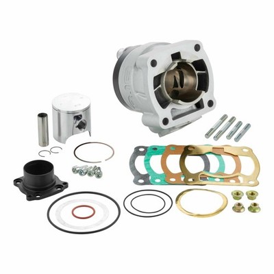 8.1 NGN01900 CILINDRO DA COMPETIZIONE BETAMOTOR 50 Eikon 1999-1999