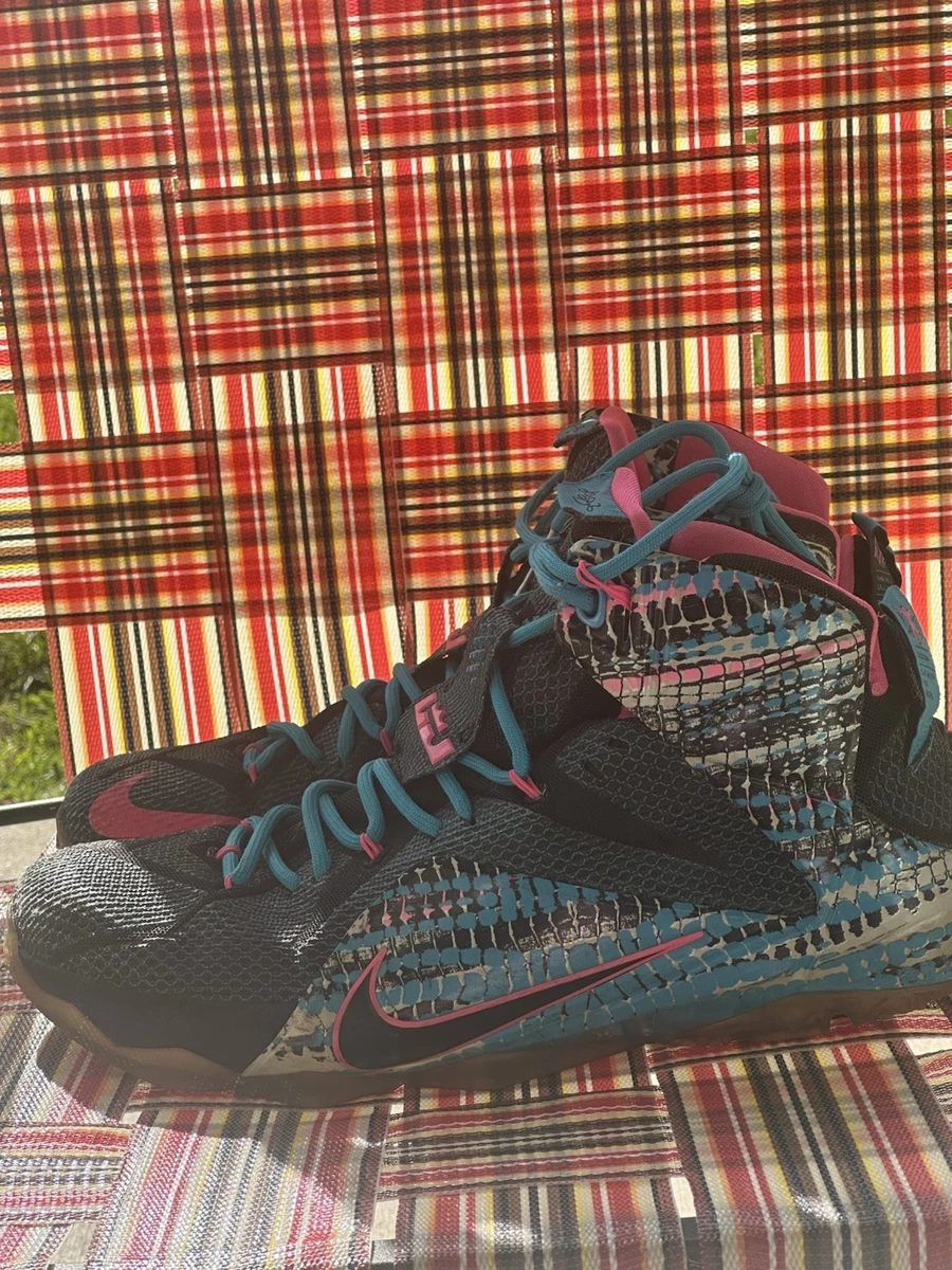 Preços baixos em Nike LeBron 12 23 Chromosomes | eBay