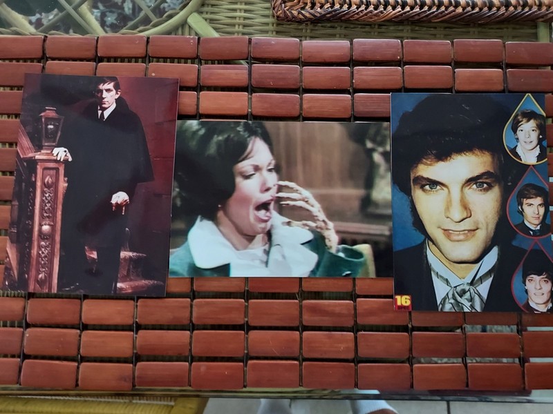 Dark Shadows 4×5 Photographs Collection Barnabas Quentin Collins   Casandra