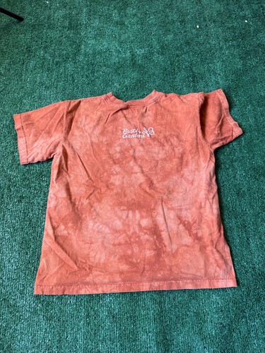 The Mountain Tiger T Shirt YOUTH Size L Orange Nature Animal Shirt Busch Gardens - Picture 6 of 7