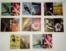 Weet-Bix Australia's Own Birds & Wildflowers [1976] Lot of 8 Cards