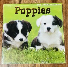 Puppies 2023 Calendar Puppy Photos Inspirational Bible Scriptures