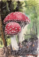 ORIGINAL Watercolor Painting   Fly Agaric Mushrooms 7.1/2"X 11" NOT A PRINT