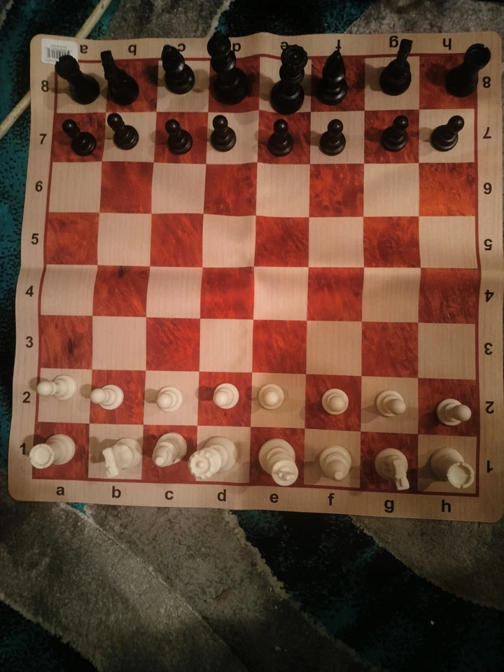 Chess ♟️Set Green Carry Bag Roll Up Vinyl Square Blk/White 32 Pieces Plus DVD 📀 - Image 2 of 4