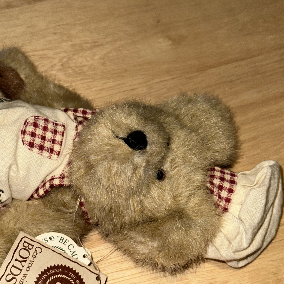 Boyds Bears COOKIE BEARCHILD Peluche 8" Oso Articulado Delantal y Sombrero de Chef Nuevo con Etiquetas Foto 3 de 4