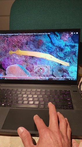 Razer Blade 15 2.6-5.0GHz Boost MAX i7-10750H 16Gb 512gb RTX 2060 144hz Gaming - 第 1 支影片,共 1 支