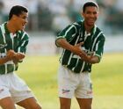 Imagen 6 de 6