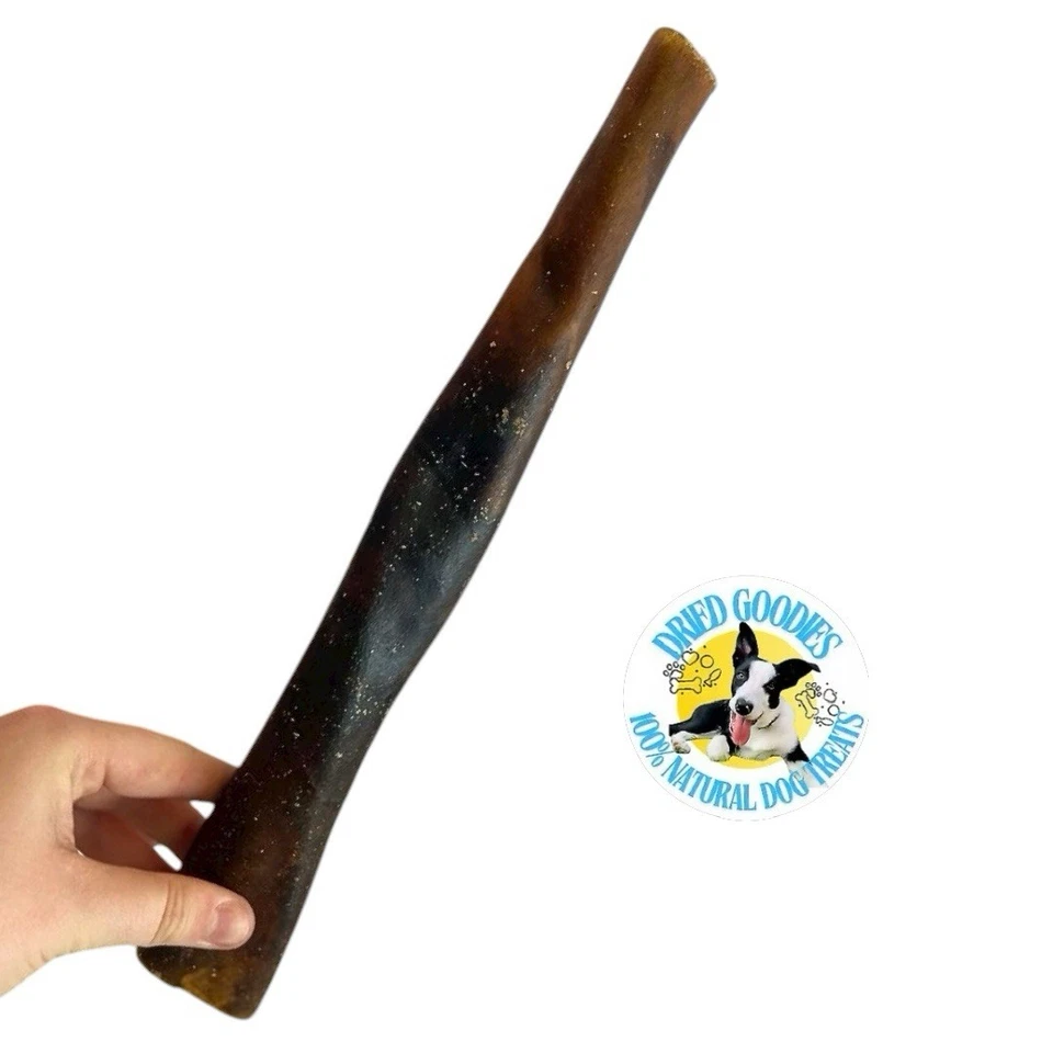 2 x große Kamelfellrollen 30 cm - natürliche Bio Handarbeit Hunde Kau Leckerli