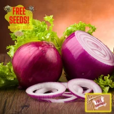 Fresh Premium Ruby Red Creole Oinion Seeds | Heirloom Non-GMO | Vegetable Seeds