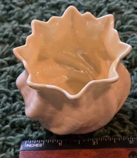 1965-80 Iridescent Neptune Sea Shell cup or bowl 2 3/4" high