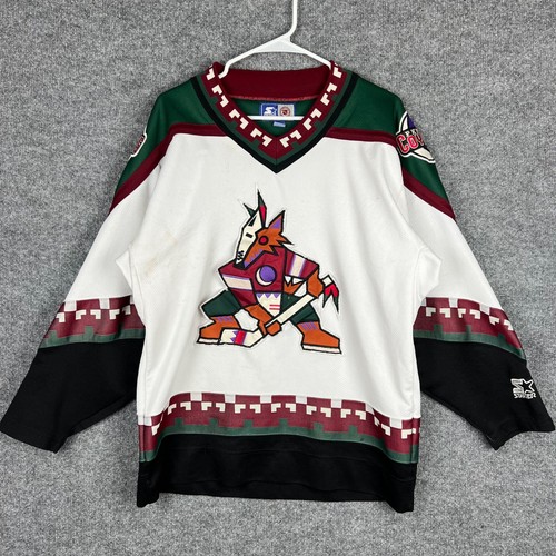 VTG NHL Phoenix Coyotes Starter Hockey 
