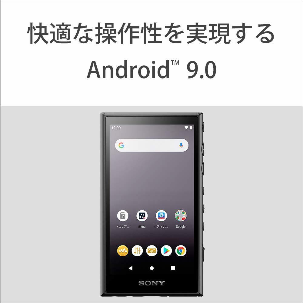 SONY Walkman 16GB A Series NW-A105HN : High-res compatible
