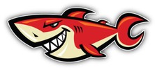 Red Shark Cartoon Car Bumper Sticker Decal