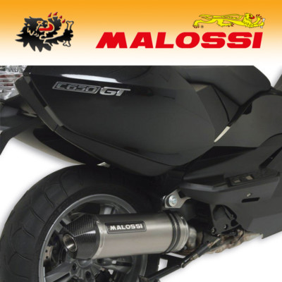 3215927 [MALOSSI] MAXI WILD LION SCHALLDÄMPFER ZUGELASSEN - BMW C 650 GT ie 4T LC