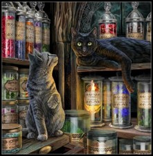 Magical Emporium - DIY Chart Counted Cross Stitch Patterns Needlework DMC 14 ct
