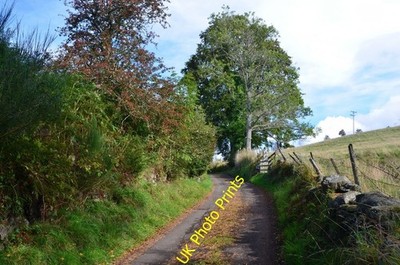 Photo 6x4 Private Road above Dunkeld A narrow lane with access to houses, c2016