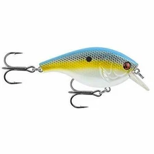 Matzuo 3" Fishing Lure 3/4 Oz MZPC30 Furiko Square Bill Crank Bait Sexy Shad