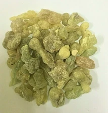 PREMIUM LARGE RESIN Royal Green Frankincense Hojary Oman,Boswellia sacra.