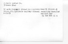 Foto 2 di 4
