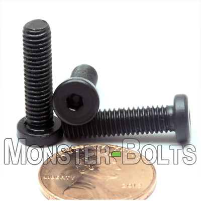 #ad #10 32 Low Head Socket Cap Screws Alloy Steel w Black Oxide US SAE Fine Thread $16.90
