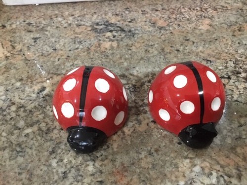 Marienkäfer Salz und Pfefferstreuer - Bild 1 von 3