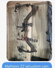 Mathews Z2 w/custom cam
