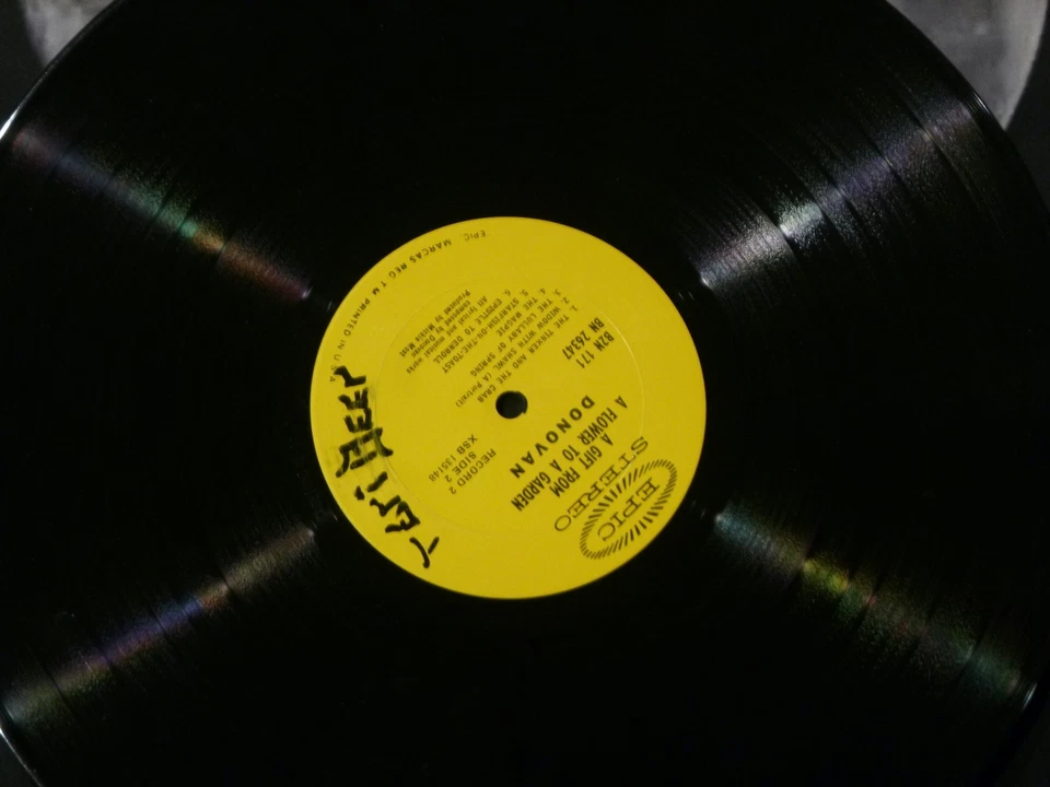 Donovan Gift From A Flower To A Garden w/ Prints 2 Vinyls lp Album - Image 4 of 4