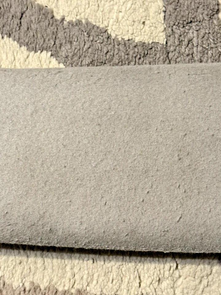 Chevrolet Colorado GMC Canyon 2004-2011 parasol parasol parasol lado del conductor Foto 3 de 4