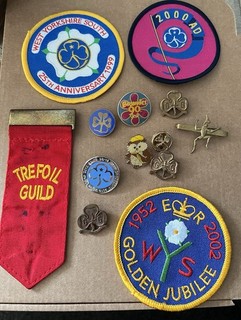 10 Assorted Vintage Girl Guide Badges