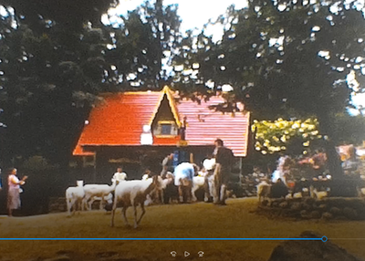 #ad NORTH POLE THEME PARK TRIP ALPINE MOTOR COURT 8MM HOME Movie Film Reel B924 $29.00