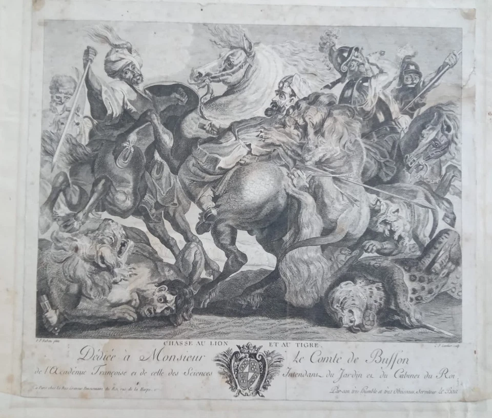 GRAVURE EN NOIR DU XVIIIe SIECLE " CHASSE AU LION ET AU TIGRE  " P.P RUBENS - Photo 2/4