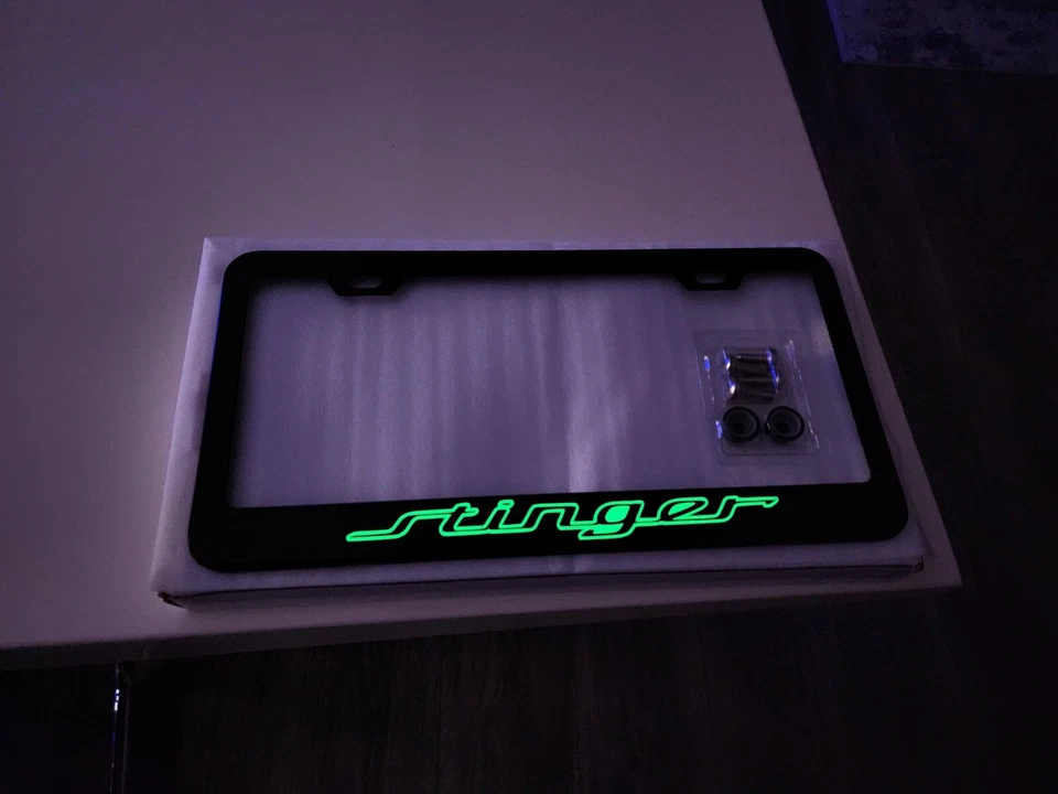 GLOWING Stinger / GT Real Black Stainless Steel License Plate Frame - Image 3 of 4