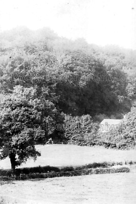Bhh-73 Selborne in der Nähe von Alton, Hampshire. Foto