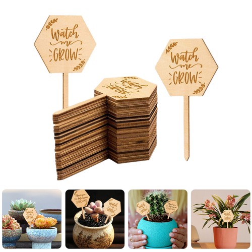 40 Pcs Plant Tags Pot Marker Greenhouse Sign Succulent Card Baby eBay
