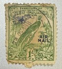 Foto 10 di 11