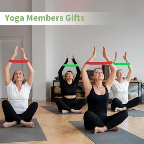 100 PCS Bulk Resistance Bands, Loop Exercise Bands Set for Gym Colorful 100 PCS