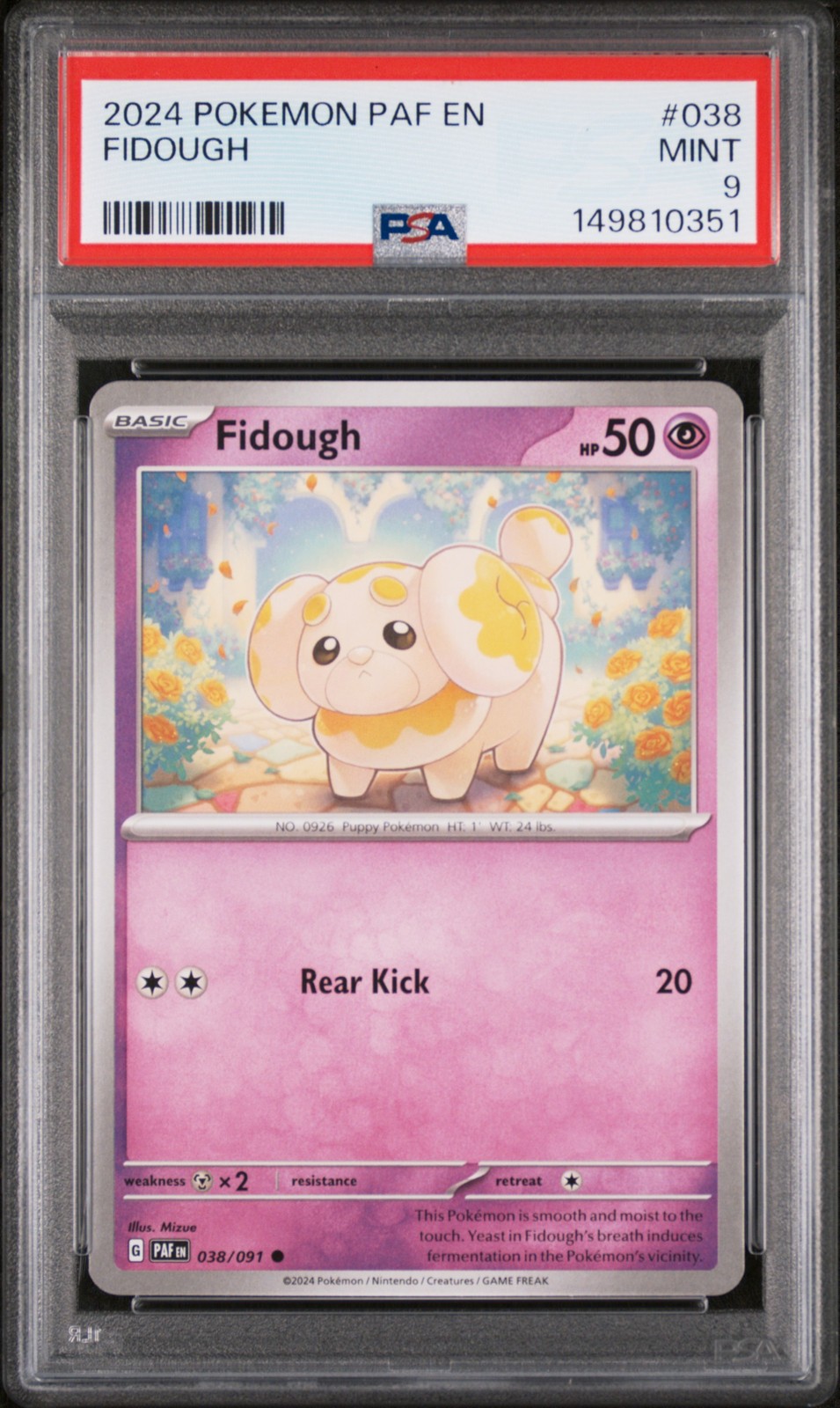 Fidough #38