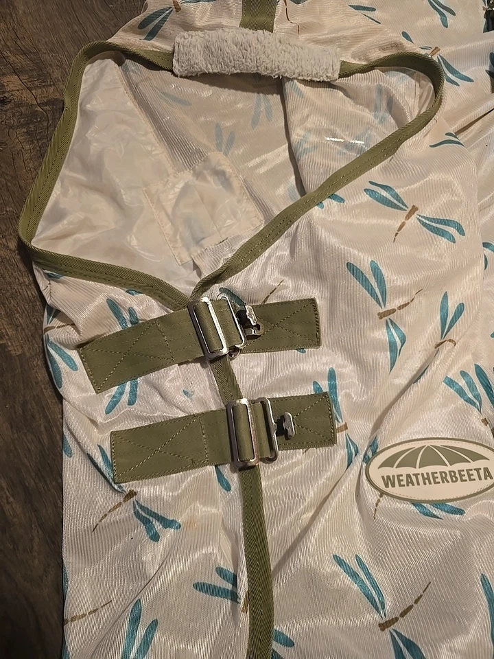 Flysheet 63 - Image 4 of 4