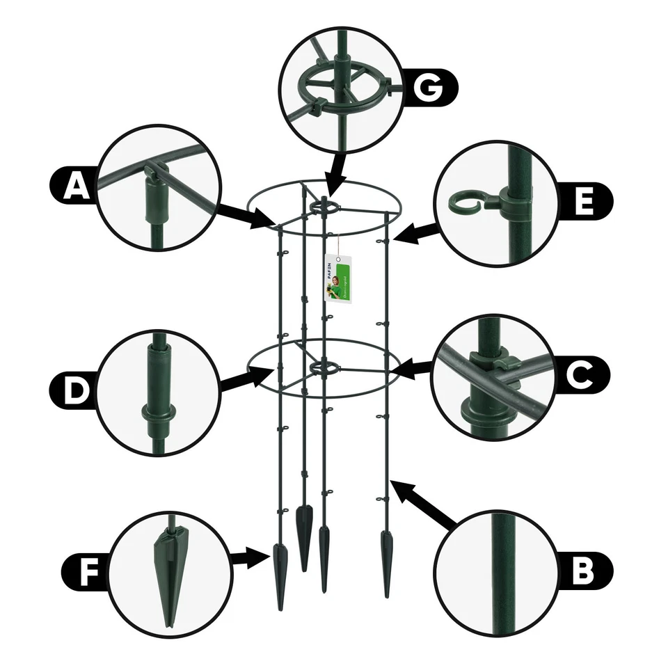 Pflanzenstütze Pflanzenhalter Floo Supports IFLS5 – Rund Waldgrün - Bild 3 von 4
