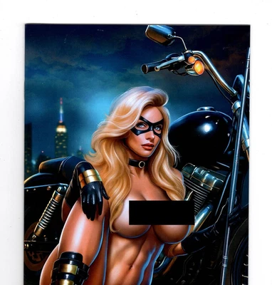 Skyline #6 Fernando Rocha Black Canary Cosplay Full Naughty Virgin Variant (NM)