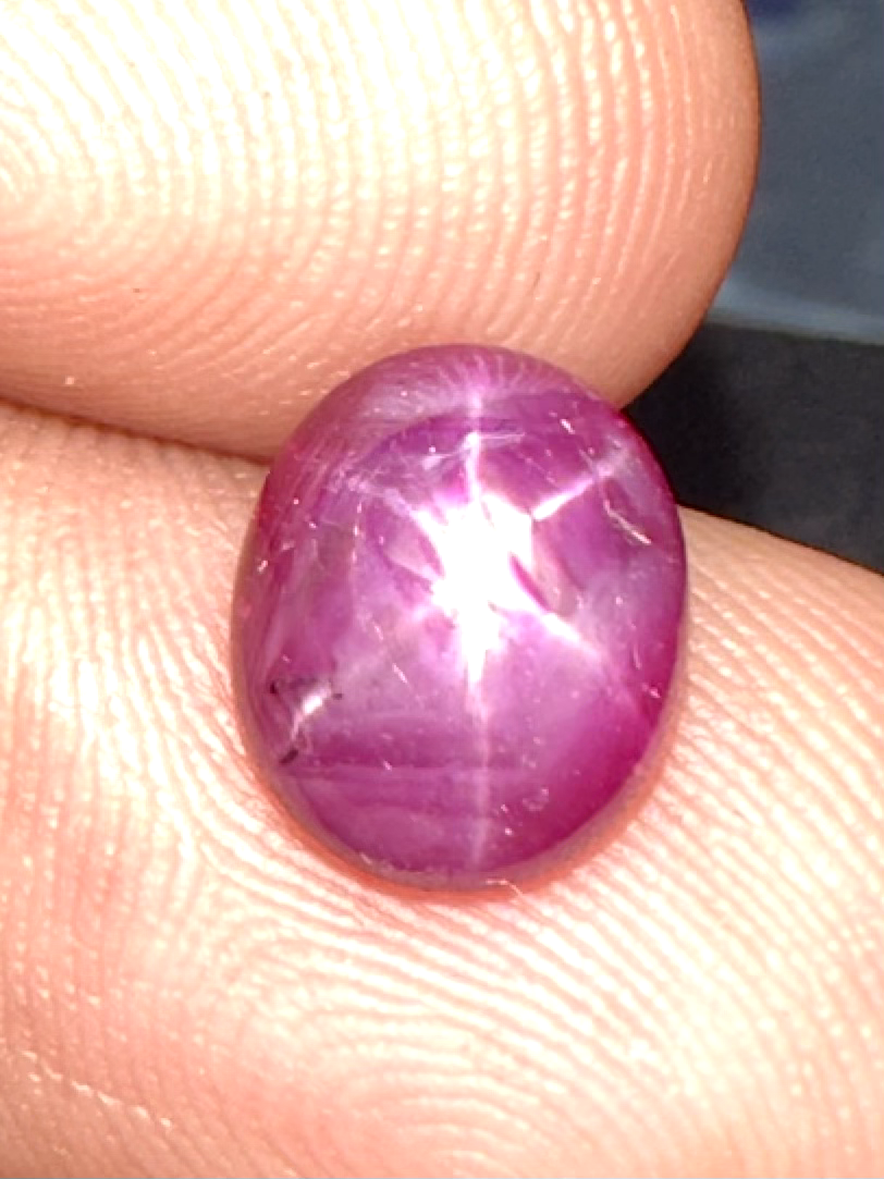 Rubis étoilé Naturel 2.60 Carats - Cabochon 6 Rayons - Origine Mozambique - Neuf Avec étiquette