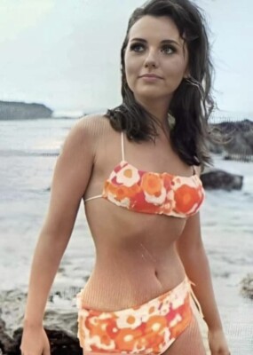  Dawn Wells  Beautiful Vintage Actress Star Celebrity  Maryanne  5X7 STUNNING!