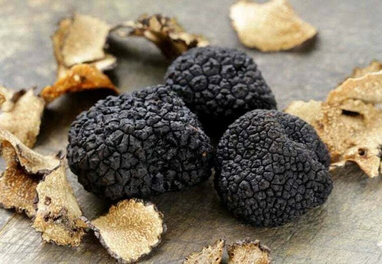 Precious Italian fresh black truffles. Black truffle 270g. 9.5 oz. Mushrooms. - Image 2 of 4