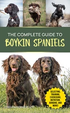 The Complete Guide to Boykin Spaniels