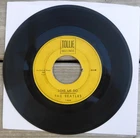 Beatles 45 RPM Record-Love Me Do/P.S. I Love You