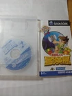 Nintendo TAKAHASHI MEIJIN NO BOUKENJIMA Adventure Island Gamecube from Japan