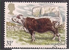 GB 1984 QE2 31p British CattleIrish Moiled Cow SG 1244 Ex Fdc ( L473 )
