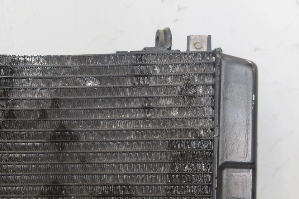 Suzuki Hayabusa GSX1300R 2001 OEM motor radiador enfriador radiador de refrigeración Foto 3 de 4