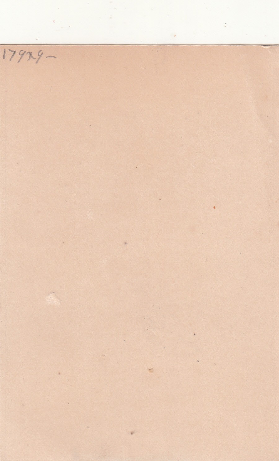 Bild 2 von 2